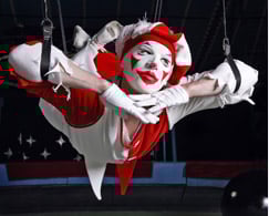 CIRQUE, ACROBATIE ET HAUTE VOLTIGE