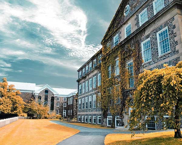 L’Université Dalhousie