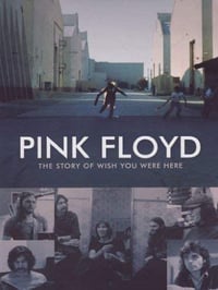 The Story of Wish You Were Here jacket