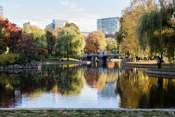 Boston Public Garden