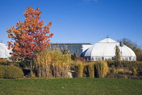 Garfield Park Conservatory