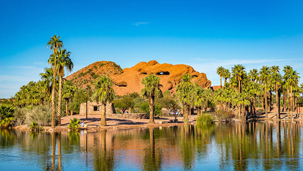 Desert Botanical Garden
