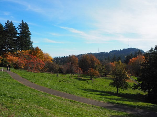 Hoyt Arboretum
