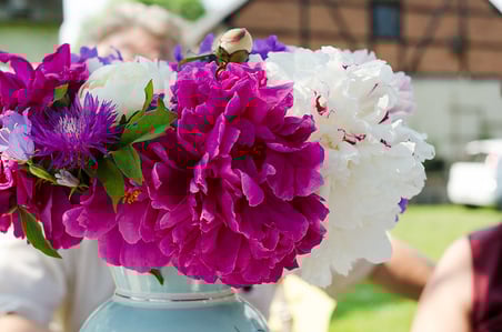 Peonies