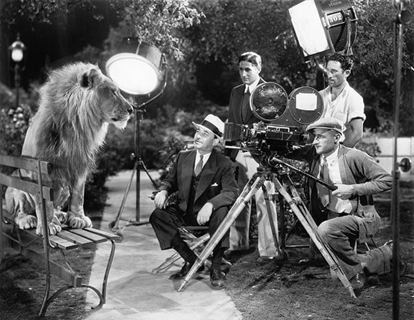 Animals on set