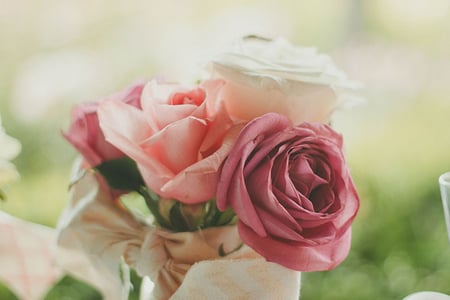 Wedding rose