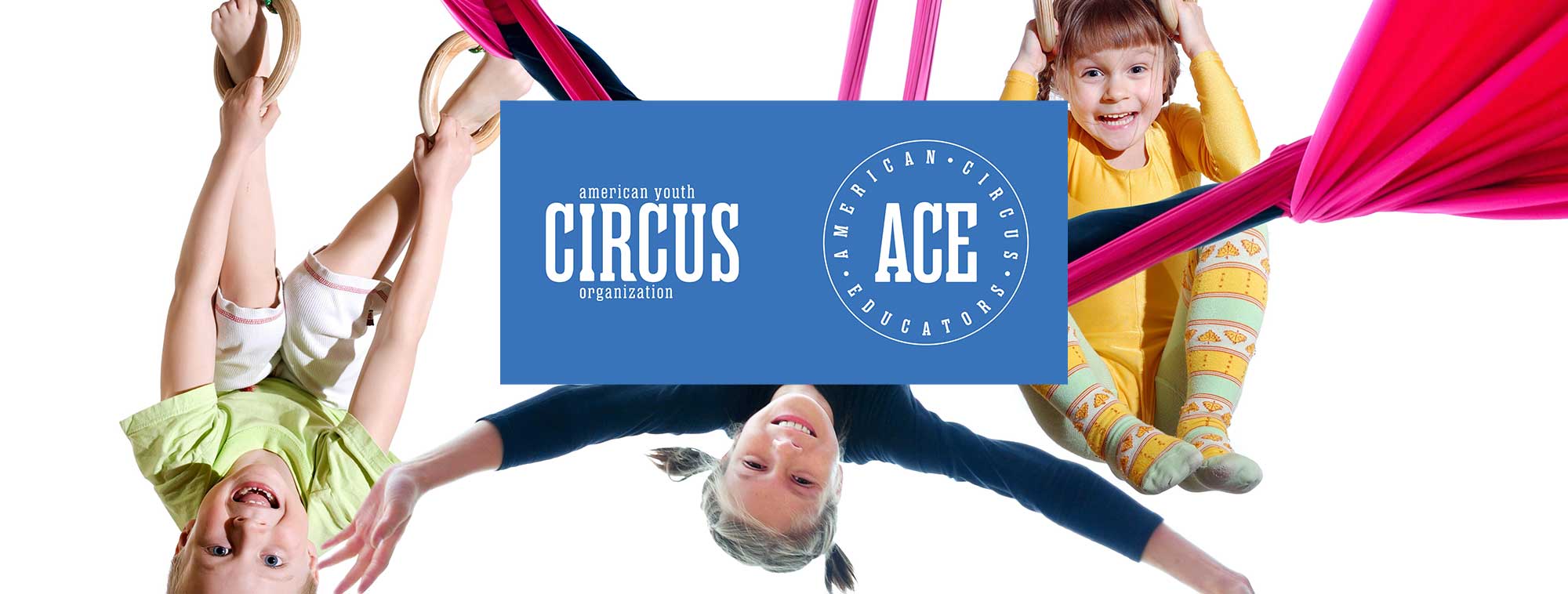 AYCO/ACE Banner AYCO/ACE Banner