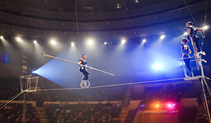...But isn't the circus supposed to be dangerous?
